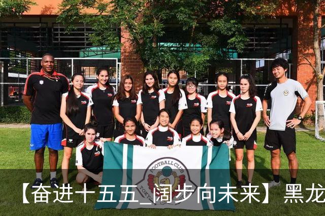 【奋进十五五 阔步向未来】黑龙江农机产业正加速迈向高端化智能化绿色化